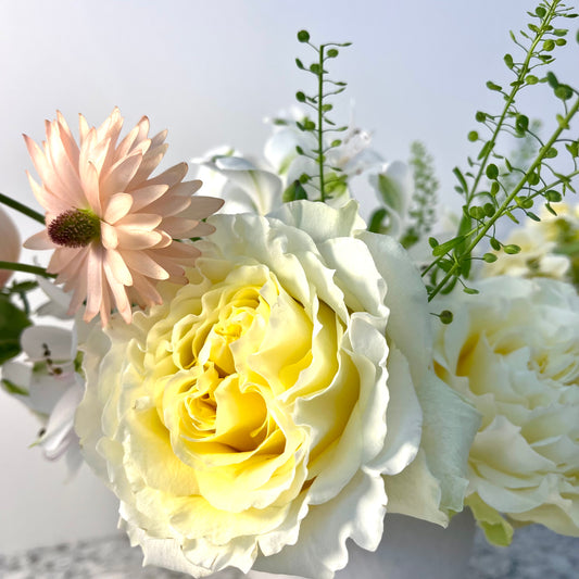 Compote Arrangement